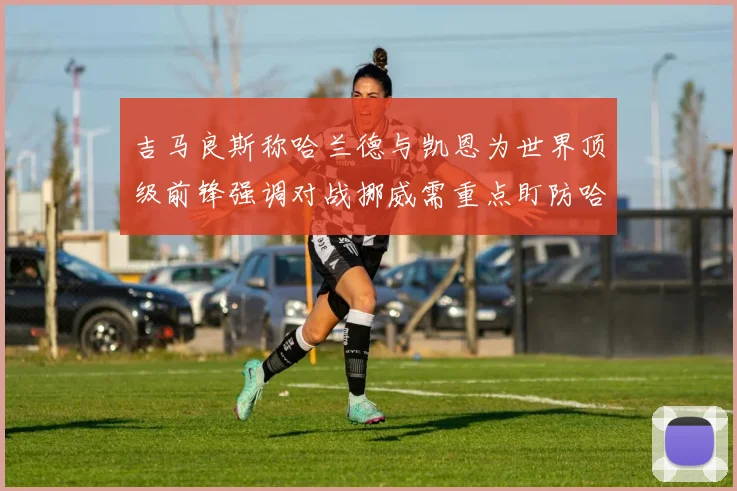吉马良斯称哈兰德与凯恩为世界顶级前锋强调对战挪威需重点盯防哈兰德